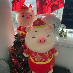 Meet your Posher, Kristy